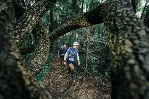 BIB: 
                            <button type="button" onclick="openModal(25392048)" class="btn btn-primary btn-sm float-right btn-popup" data-toggle="modal" data-target=".modal-high-quality">
                        <i class="fas fa-shopping-cart"></i> Add to Cart
                    </button>
                                            <button type="button" onclick="isThisMe(25392048, true)" class="btn btn-success btn-sm float-right btn-popup btn-isme hidden" data-toggle="tooltip" data-placement="bottom" title="นี่คือรูปของคุณใช่ไหม คลิกที่นี่เพื่อเอาเข้าอัลบั้ม">
                        <i class="fas fa-plus"></i> Add to album
                    </button>
                    <button type="button" onclick="isThisMe(25392048, false)" class="btn btn-warning btn-sm float-right btn-popup btn-isnotme hidden">
                        <i class="fas fa-ban"></i> Remove from album
                    </button>